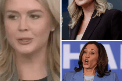 “Your mom did.” — The moment Karoline Levitt snapped on a HuffPost journalist, the internet exploded. What started as a simple question about Trump and Putin’s meeting turned into a brutal, uncensored takedown — and that’s only half the story.