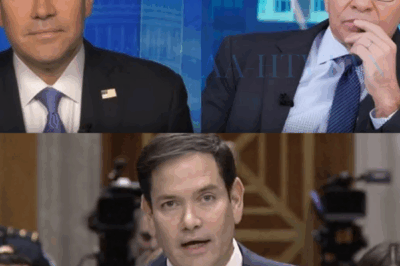 Marco Rubio STUNS Live TV — Walks Out After Brutal Trump Question Backfires on ABC Host When politics meets prime-time, sparks fly — but no one expected this. In a jaw-dropping moment on live television, Senator Marco Rubio didn’t just hold his ground — he flipped the script entirely.