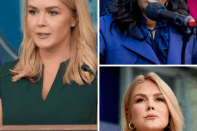 “The Cost of Black Disrespect”: Karoline Leavitt Faces $80 Million Lawsuit After Jasmine Crockett’s Explosive Accusation