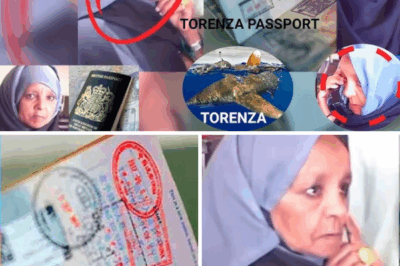 BREAKING: The Woman Who Vanished at JFK Airport — Is She Back?