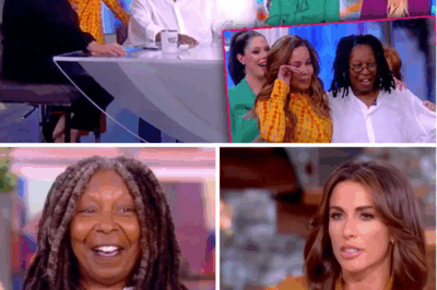 There is simply no other live daytime show that detonates on camera the way The View does — on-air explosions, snapping alliances, emotional meltdowns, and those shocking “did-they-really-just-say-that?” confessions that make the internet spin all afternoon. What should be a polite coffee-hour panel has become the closest thing to live-wire reality TV in daylight, and still it keeps climbing — critics baffled, fans addicted, networks taking notes. And after years of guesses, insiders say the real secret to its unstoppable pull and record-long run has finally surfaced. If you think you know why millions can’t look away — you may be wrong