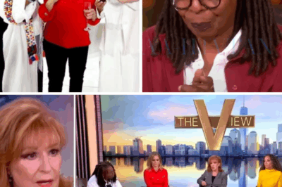 “THE VIEW REBORN! ABC Drops a Comeback Bombshell That No One Saw Coming” Everyone thought The View was done — scandals, walkouts, ratings freefall. But in a move straight out of a TV thriller, ABC just pulled off a secret reboot that’s got Hollywood buzzing.