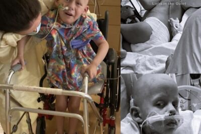 CH2 . For years, Gavin has been fighting a battle no child should ever face — relapsed Neuroblastoma. He’s been through endless rounds of chemotherapy and immunotherapy, infections, surgeries, and sleepless nights. Yet through it all, he smiled — a quiet, brave light in a world full of hospital walls.  Recently, Gavin’s family received the news no parent ever wants to hear. His latest bone marrow test showed 100% cancer cells. There are no more treatment options left. The full story is in the comments below.👇