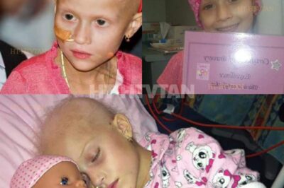 ch2- Lexie was six — full of music, laughter, and endless spins across the living room floor. Then, a simple sore hip turned into something unthinkable.