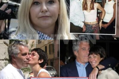  Hollywood Bombshell: Woody Allen Breaks the Epstein Scandal Wide Open The world was left stunned as Woody Allen — a name long surrounded by controversy — finally spoke out about the Jeffrey Epstein scandal.  Full story below:  In a revelation no one saw coming, Allen pulled back the curtain on a web of power, privilege, and betrayal that stretches far beyond Hollywood. His words, sharp and unapologetic, shed light on the hidden networks that protected Epstein’s empire for years. From lavish parties to secret deals in high places, Allen’s account is shaking the entertainment world — and raising chilling questions:  How deep does this corruption go?  And who else is about to be exposed? This isn’t just a confession — it’s a seismic disclosure that could rewrite what we thought we knew about one of the darkest scandals in modern history. 