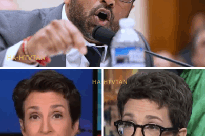 “You’re the Real Threat!” That’s all Kash Patel said — right before Rachel Maddow