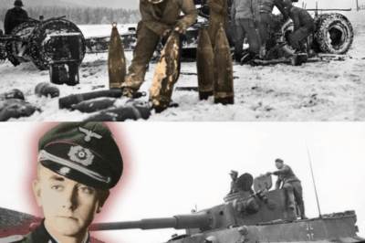 German Officers Never Expected American Smart Shells To Kill 800 Elite SS Troops