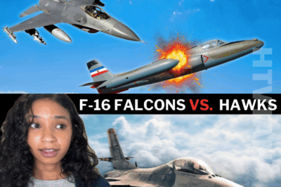 When F-16 Falcons Ate Hawks for Breakfast