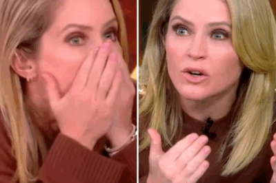 Sara Haines Breaks Silence After Explosive On-Air Outburst on The View — Fans Can’t Believe What She Revealed