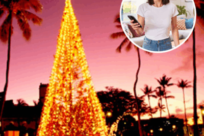 My Sister Said: “You’re Not Coming To Hawaii For Christmas”, So I Kicked Her And…