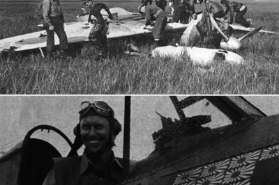 Japanese Pilots Stunned When American F6F Hellcat APPEARS