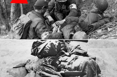 The German Soldier Who Was Freezing… Until an American Enemy Saved His Life
