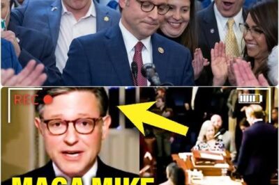 Web Article: MAGA Mike Johnson Served with Lawsuit While Leaving the House Floor – A Turning Point in American Politics