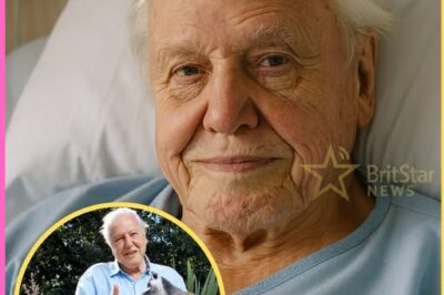 ch2-Sir David Attenborough Breaks His Silence After Health Scare: “I’m Not Afraid of D.e.a.t.h — But I Am Afraid of Not Living Enough”