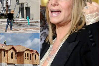 ch2-“Barbra Streisand SHOCKS the World — Donates Entire $14.9 Million Tour Earnings to Build Homes for the Homeless: ‘Art Should Heal, Not Just Entertain.’”