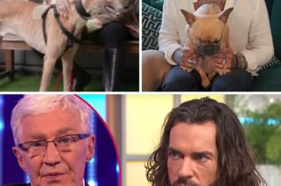 ch2 ‘HE’S NO PAUL O’GRADY — AND HE NEVER WILL BE!’  That’s The Fiery Claim Dividing Britain Tonight As Pete Wicks — Once Dubbed Reality TV’s Ultimate Bad Boy — Is Officially Crowned The New Face Of A Major Primetime Show. The Announcement Sent Shockwaves Through The Nation, With Fans Torn Between Admiration And Outrage. 