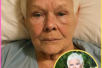 ch2-💔 “I Can’t See Anything Anymore”: Dame Judi Dench’s Heartbreaking Battle With Blindness at 90