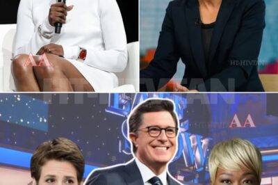 CH2 . 🔥 THE REBELLION IS REAL: Maddow, Colbert & Joy Reid Just TORCHED the Rulebook — and Built Their Own “Rogue Newsroom” 💥🎙️ They didn’t quit — they revolted. Rachel Maddow. Stephen Colbert. Joy Reid. Three names that once defined network TV… have just walked out and built something the media world never saw coming. 👉 The Rogue Newsroom — raw, uncensored, and entirely independent. No sponsors. No bosses. No teleprompters. Just truth — unedited and unleashed. Insiders describe their first live stream as “a controlled detonation” — part satire, part confession, and 100% rebellion. Cameras rolled as Colbert ripped into “corporate censorship,” Maddow exposed buried stories, and Joy Reid called it “a new Declaration of Independence for media.” Executives are panicking. The internet’s exploding. And millions of viewers are asking the same question: Did these three just start the biggest media revolution of our time? 👇 Watch the historic first broadcast + full story in the comments before it’s wiped.