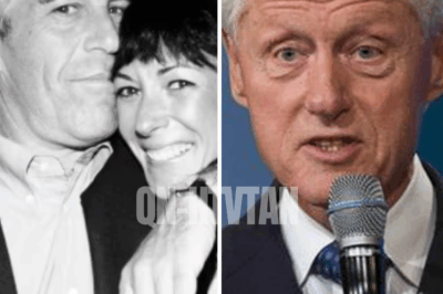 “You won’t believe who actually set foot on the island!” — newly released emails from Jeffrey Epstein reveal a shocking visitor, contradicting decades of assumptions and raising questions that could rewrite the history of one of the most notorious scandals in modern memory.