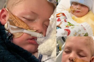 Harvey’s journey started with a morning where he simply couldn’t walk. What looked small at first soon became endless fevers, bruises, pain, and finally a word no parent ever wants to hear — leukemia. Since then, it has been hospital stays, failed lines, infections, and nights filled with fear. Some days he is silent, lost in pain, other days a glimpse of his smile reminds everyone he’s still fighting. His story is raw, heartbreaking, but also filled with courage. And it shows why childhood cancer cannot be ignored. Full story in the comments.👇