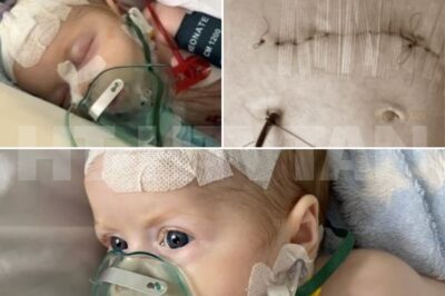 She was perfect — tiny, fragile, and full of life. But just weeks after coming home, her little belly began to swell. What her parents thought was harmless turned out to be a nightmare. Stage IV neuroblastoma. Metastases to the liver. A deadly cancer — in a baby barely two months old. Since that day, her life has been hospitals, surgeries, transplants, and endless pain. She’s fought through every treatment — chemo, radiation, immunotherapy — while her mother prays beside her bed, whispering, “Please, don’t let her go.” Now, Ewelinka’s only hope lies in a treatment available in the U.S. — a therapy that could save her life but costs more than her family could ever afford. 1.5 million złoty stands between her and a future. Her mother dreams of one thing — to see her baby walk, laugh, and live free of tubes and pain. But without help, that dream will fade. 👉 Full story in the comment