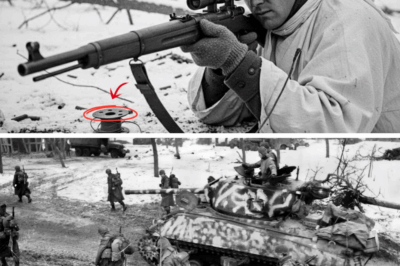 CH2 How a US Sniper’s ‘Telephone Line Trick’ Ki11ed 96 Germans and Saved His Brothers in Arms