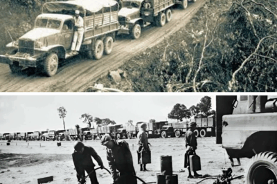 German Engineers Were Stunned When a Single Soldier Repaired 50 Trucks Overnight 