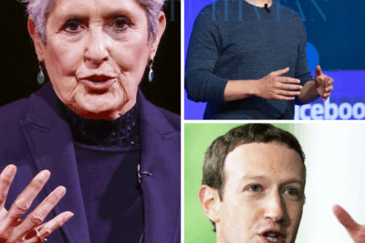 ch2 Joan Baez Just Shamed Mark Zuckerberg and the Billionaire Class — And Showed What Real Generosity Looks Like