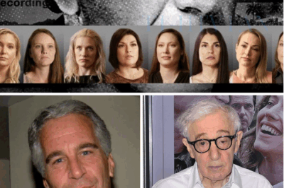 ch2 Woody Allen Shatters Hollywood’s Silence — And Names Names. The famous filmake broke decades of silence and did the unthinkable: he named names. In a trembling confession, Allen described a Hollywood intertwined with Jeffrey Epstein’s secret empire — a world of manipulation and quiet complicity. When he said, “Epstein wasn’t the only one taking notes,” the room fell silent. Minutes later, his words began to ripple through Hollywood — and what followed unearthed everything it tried to bury
