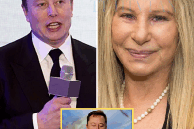 BARBRA STREISAND STUNS THE WORLD — REJECTS ELON MUSK’S $500 MILLION SPONSORSHIP DEAL: “I WILL NEVER BE BOUGHT BY BILLIONAIRES LIKE YOU.”