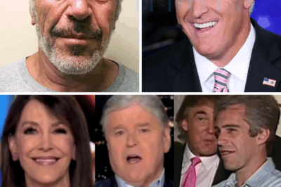 ch2 Sean Hannity’s On-Air Meltdown: Progressive Guest Torpedoes Fox Host with Epstein and Trump Dementia Remarks