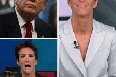 ch2 Late-Night Showdown: Rachel Maddow Stuns America with Trump’s “1965 SAT Scorecard” Reveal