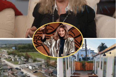 ch2 Barbra Streisand Stuns the World: Donates Entire $14.9 Million Tour Earnings to Build Homes for the Homeless