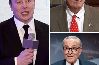 ch2 🚨 KENNEDY & ELON MUSK IGNITE FIRESTORM OVER ALLEGED NYC BALLOT SCANDAL — “THE MOST EXPLOSIVE ELECTION PROBE IN DECADES”