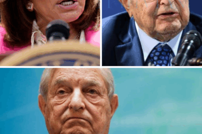 ch2 Judge Jeanine Pirro Moves to Block George Soros from Allegedly Bankrolling U.S. Protests Under New RICO Proposal