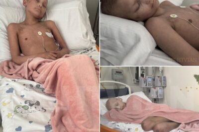 Today’s labs brought a glimpse of hope. His white blood cells and neutrophils are holding steady, giving him some defense against bacteria. But his lymphocytes remain dangerously low, leaving him too weak to fight off the adenovirus that continues to torment him. The viral load dropped from 12 million to 10 million — still incredibly high, but a small victory. His creatinine is improving too, showing his kidneys are holding on. Yet Branson is still suffering, exhausted and in pain. The laughter and ease of childhood have been stolen, but his spirit keeps fighting. We ask for your prayers — for strength, for healing, for his immune system to rise again. Every small step forward gives us hope that one day soon, Branson will smile freely again. Full story in the comment👇