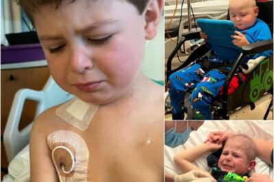 Jacob was only three when his family heard the devastating words: Acute Lymphoblastic Leukaemia. From that moment, his childhood became hospitals, chemotherapy, transfusions, and endless tests.  For over two years, he fought with courage far beyond his age—missing out on playdates and carefree days, but never losing his spark. On October 5th, 2024, Jacob rang the end-of-treatment bell, marking the end of chemotherapy and the beginning of a new chapter.  Now in remission, Jacob is learning to live like a child again, even as regular check-ups and the fear of relapse linger. His journey is a powerful reminder of resilience, hope, and the urgent need for awareness and support for all children fighting cancer. Full story in the comment👇