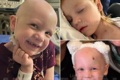Sweet Autumn Jean Dovick has passed away after a long and painful battle with Neuroblastoma — a rare and aggressive childhood cancer that no child should ever face. She was only six years old. For more than two years, Autumn fought with a strength that astonished everyone around her. Her tiny body endured endless treatments, countless needles, and nights filled with pain — yet she never stopped smiling. Even in the hardest moments… Read the rest in the comments.👇