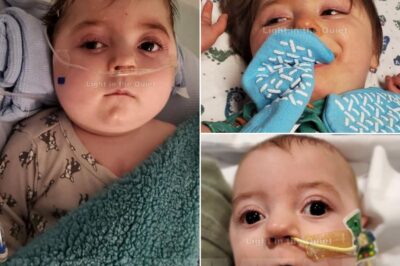 Elijah was born full term, but his journey began with a fight for life.  At just 12 days old, doctors discovered he had Hypoplastic Left Heart Syndrome, a serious condition where the left side of his heart didn’t develop properly.  He underwent multiple open-heart surgeries, faced complications like seizures, pulmonary hypertension, and infections, yet his spirit remained unbroken.  Despite everything, Elijah smiles, laughs, and brings hope to everyone around him.  Recently, the family has… Read the rest of the story in the comments below.👇