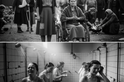 CH2 – Paralyzed German Women POWs Were Shocked By the British Soldiers’ Treatment…