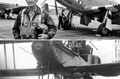 CH2 – They Grounded Him for Being “Too Old” — Then He Shot Down 27 Fighters in One Week