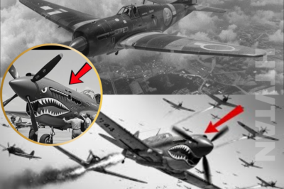 CH2.When 64 Japanese Planes Attacked One P-40 — This Pilot’s Solution Left Everyone Speechless