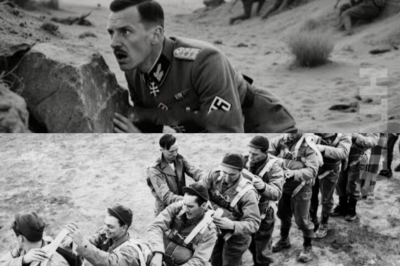 CH2. A private German diary showed what made their forces so afraid of US fighters called “Black Devils.”