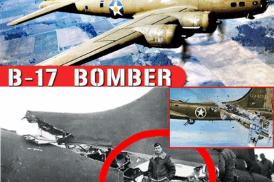CH2. Was the B-17 Flying Fortress a Legend — or a Flying Coffin? – 124 Disturbing Facts