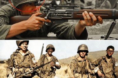 They Mocked His ‘Mail-Order’ Rifle — Until He Killed 11 Japanese Snipers in 4 Days