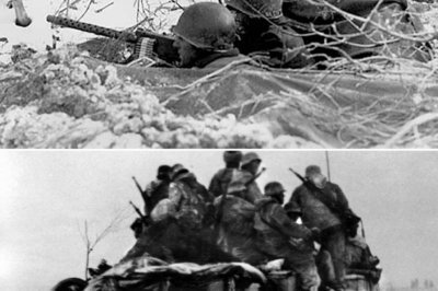 How One General’s “IMPOSSIBLE” Promise Won the Battle of the Bulge