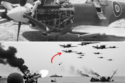 CH2 – How One Farmhand’s “STUPID” Rope Trick Destroyed 35 Zeros in Just 3 Weeks