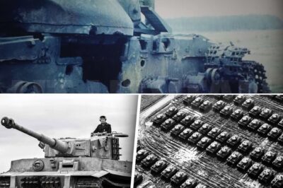 CH2. What Happened to the German Tiger Tanks After WW2?…     May 1945, Germany surrenders and with it falls one of the most feared weapons of the Second World War, the Tiger Tank. Across battlefields from Normandy to the Eastern Front, hundreds of these massive machines sit abandoned, destroyed, or captured.