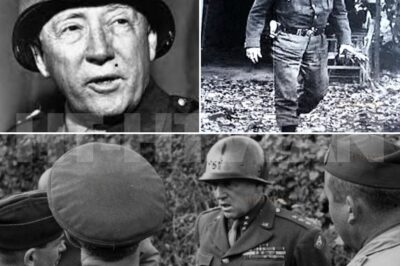 CH2 . Why Patton Refused To Enter Bradley’s Field HQ – The Frontline Insult…?     On the morning of August 3rd, 1943, a jeep sat idling on a dusty road outside Nicosia,