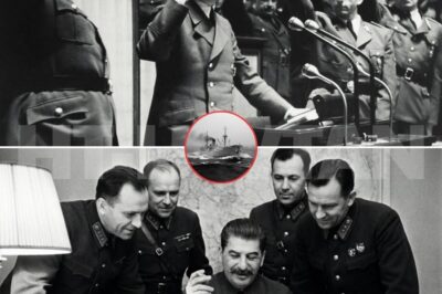 CH2. What Stalin Said When Hitler Declared War on the United States…? December 11th, 1941. Adolf Hitler stood before the Haishtag in Berlin, his voice echoing through the Croll Opera House as he declared war on the United States. 4 days after Pearl Harbor, with no obligation to do so,